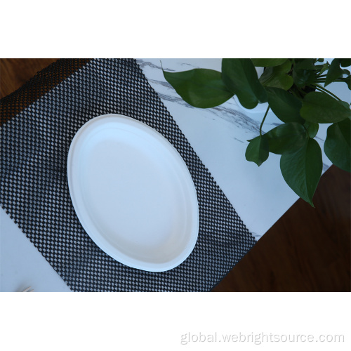 China Disposable Paper Plate for Picnic Supplier
